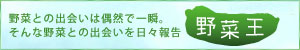 野菜王へ