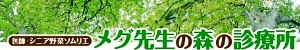 マルマガ【メグ先生の森の診療所】